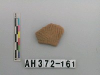 藏品(紅色夾砂陶腹片)的圖片